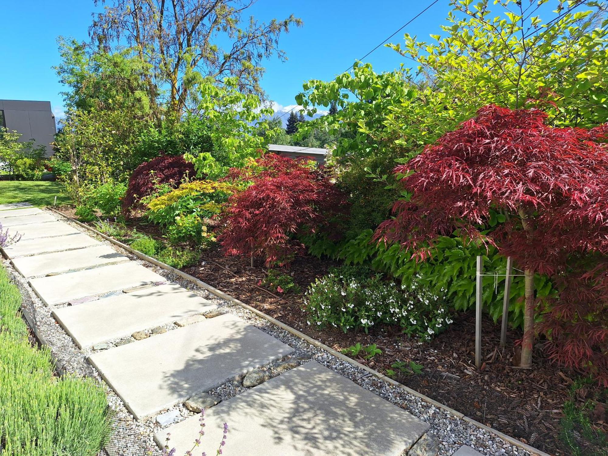 Kowhai Studio -Private Opposite Golf Course In Central 瓦纳卡 外观 照片
